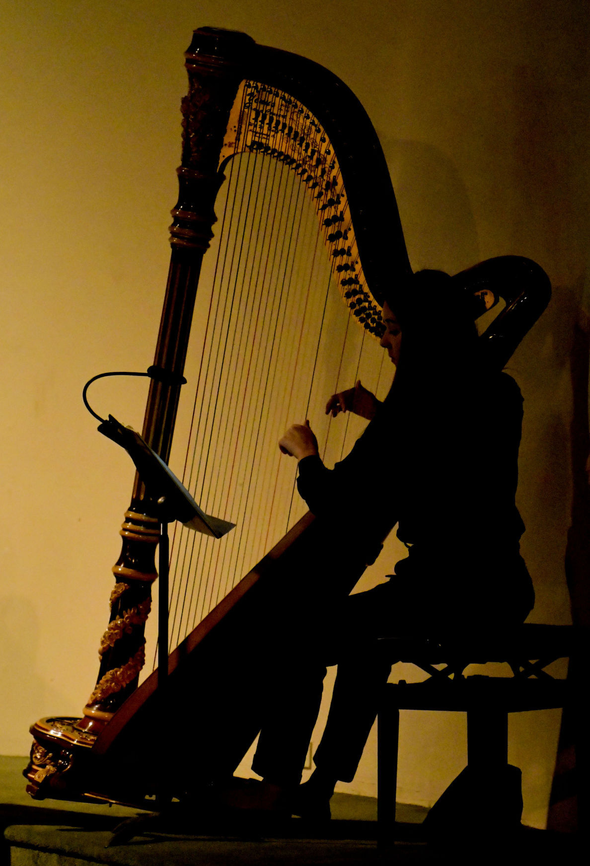 012418 SM Philharmonic 05.jpg